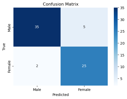 How to Build a Machine Learning Model: A Visual Guide to Learning Data Science